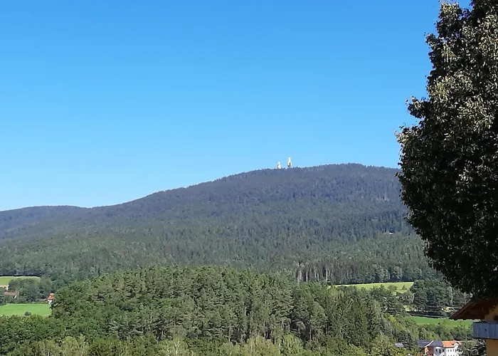 Woidtraum * Hohenwarth
